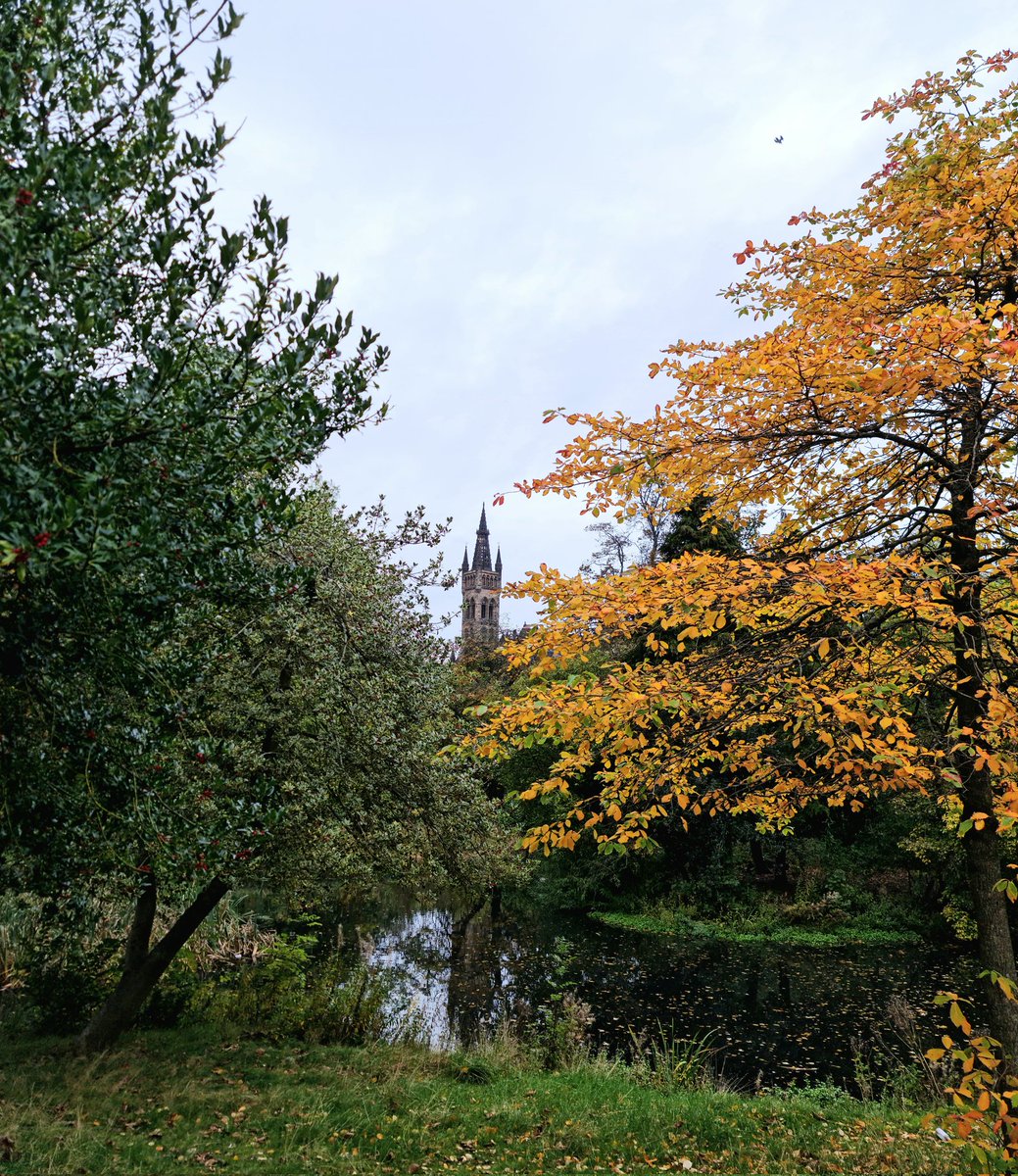 C_Stasinakis's tweet photo. It is this time of the year people! #AutumnVibes #walking #photography @UofGlasgow @UofGAsbs https://t.co/9U741I641c