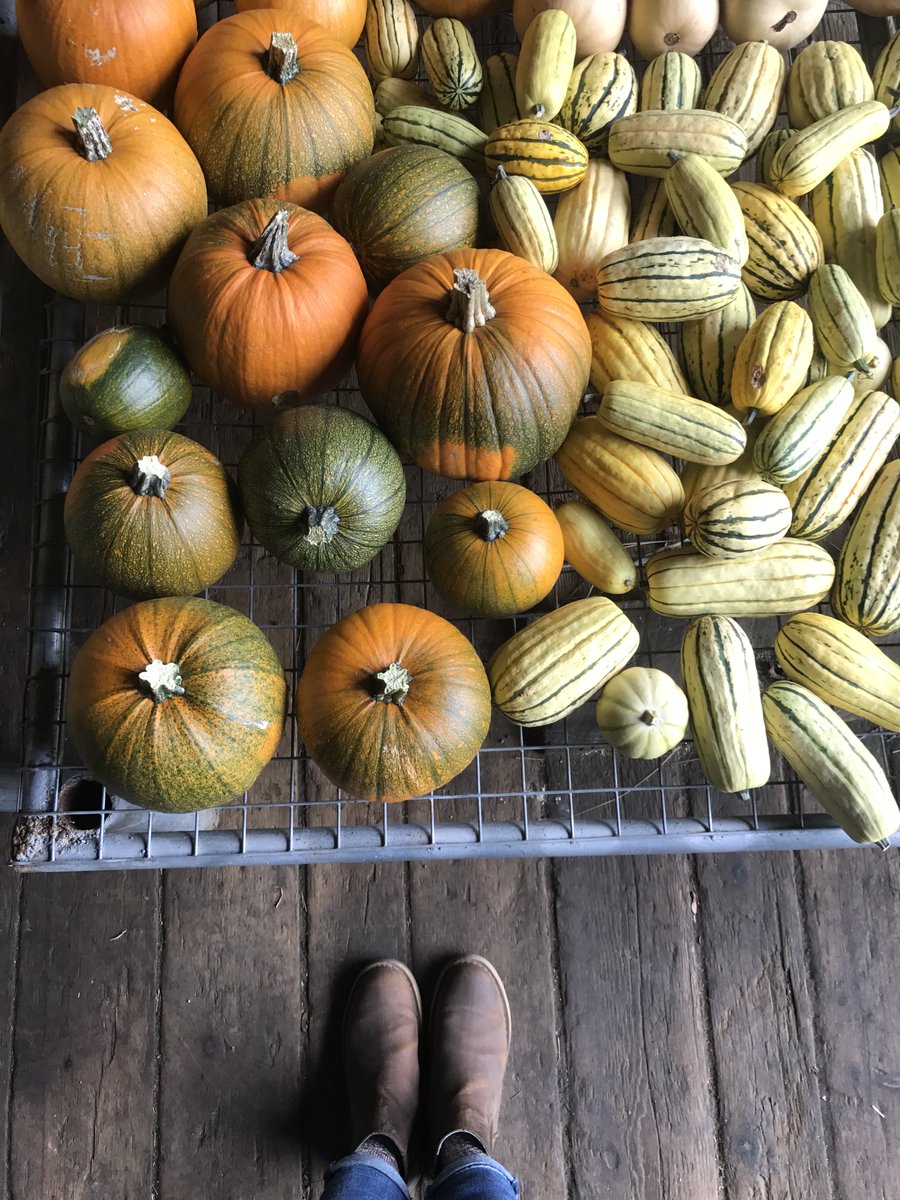 SPACEonRyder's tweet image. Happy Halloween from your spooky friends at SPACE! 🎃🕷️🕸️🦇