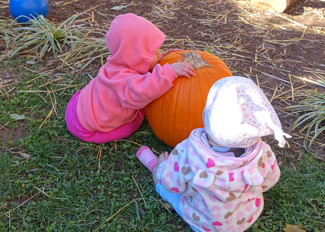 Happy Pumpkin Day!! 🎃

More about using pumpkins to support learning: 
naturalearning.org/beyond-the-jac…

#pumpkins #outdoorlearning