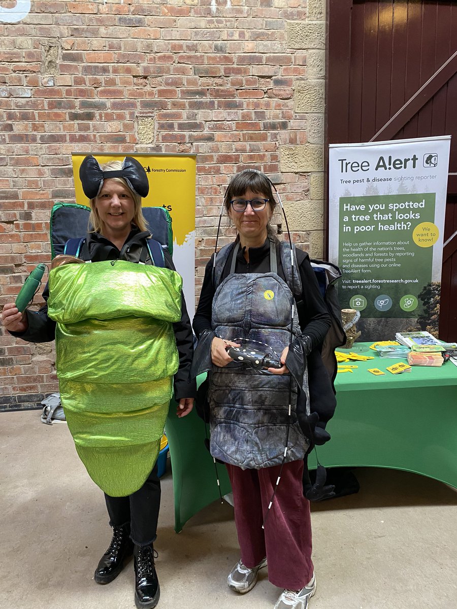 BeckiGawthorpe's tweet image. Great day promoting the great work of the @LIFEinRavines partnership project. Met some great people and a couple of giant #treepests #EAB #ALB @NEEastMidlands @ChatsworthHouse @MimaLetts @ForestryComm