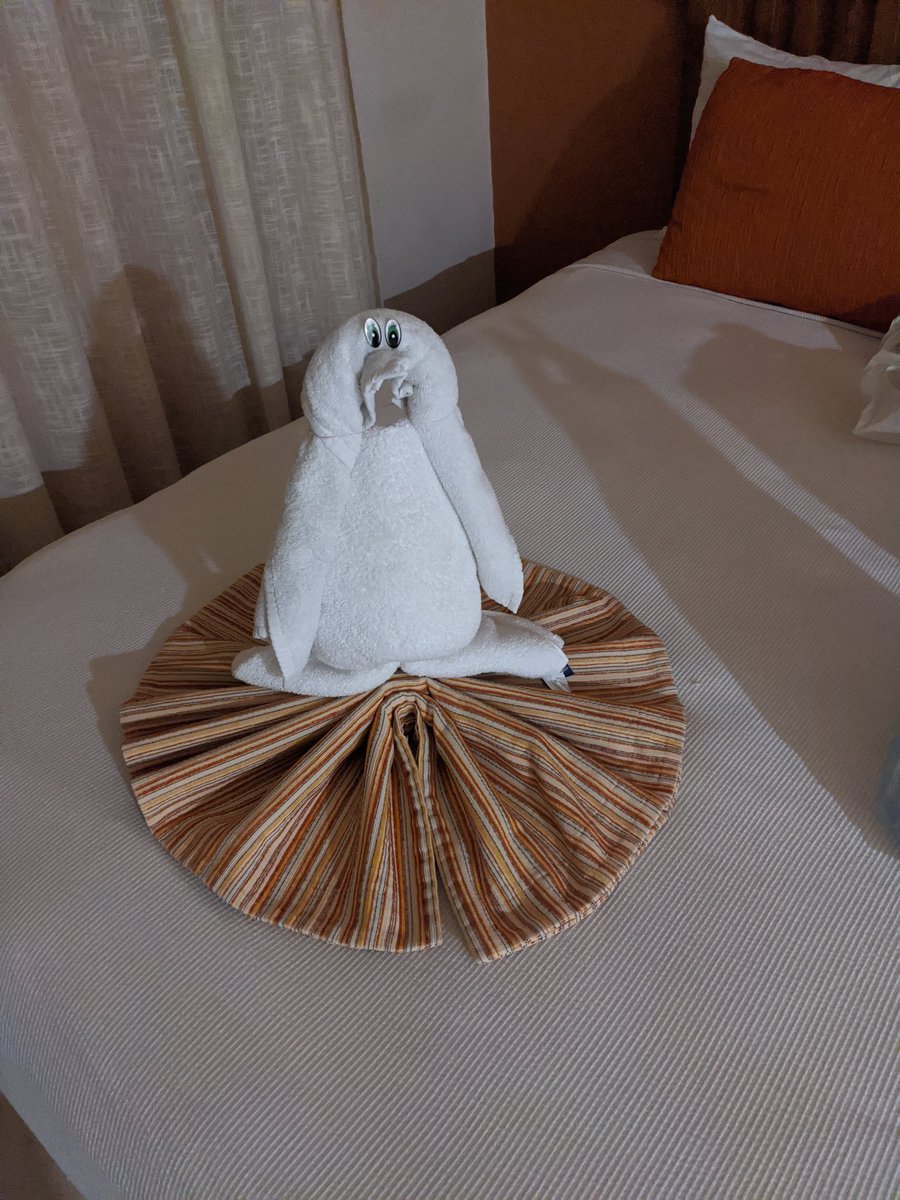 awayoflifefilm's tweet photo. @CataloniaHotels Just a few designs the staff who cleaned the rooms left for us 😍 https://t.co/me2SBBn2y5
