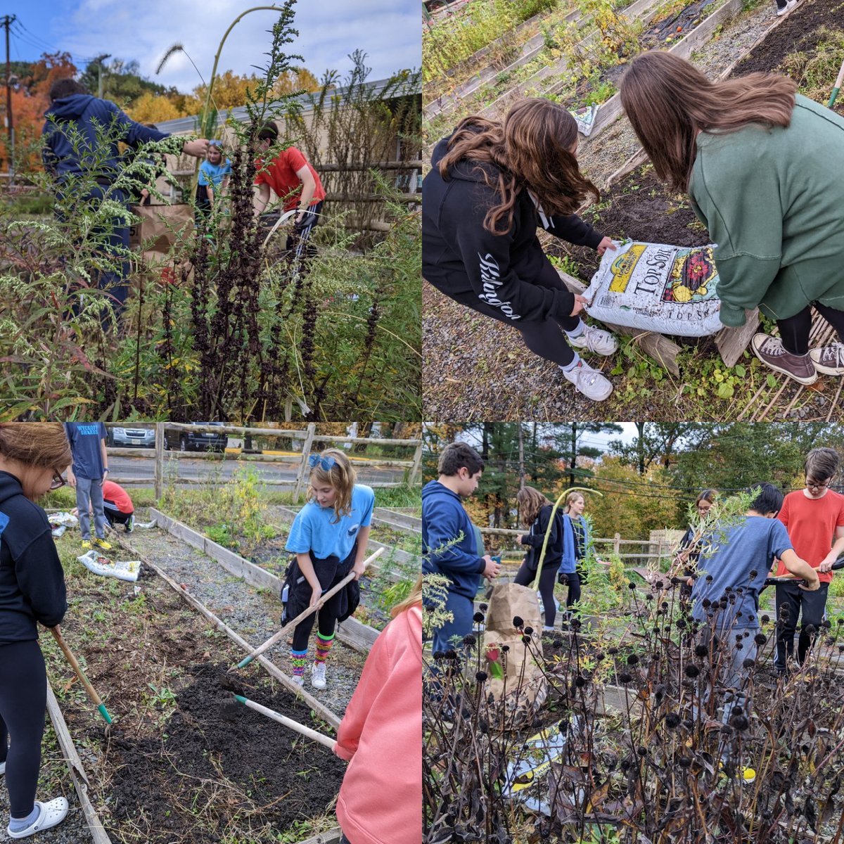 Evan Franchini tweet media