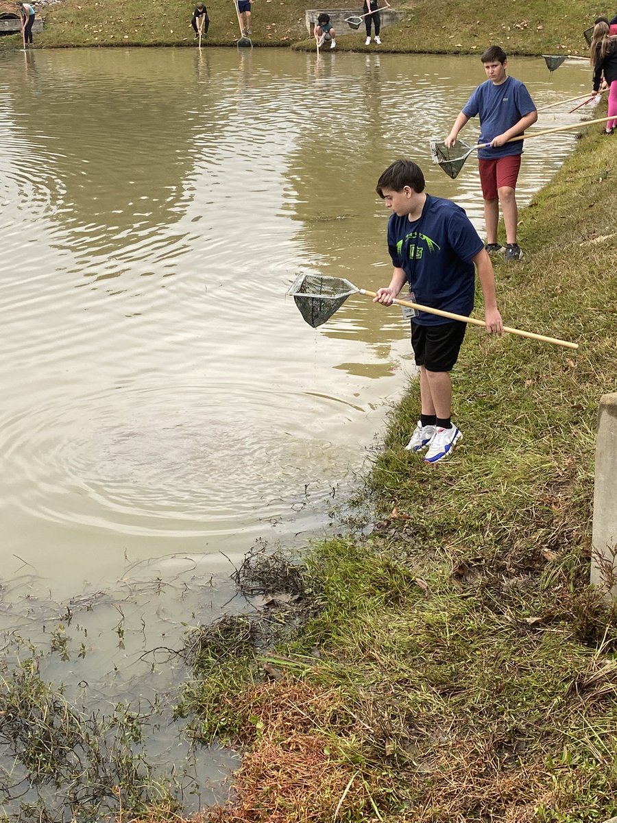 EarthLms's tweet photo. We had a great morning at @SaludaShoalsSC learning about wetlands habitats. Our 7th graders even found an invasive species, and then wanted to add some seasonings to it and have a boil. #agclass https://t.co/ngoAI7V34s