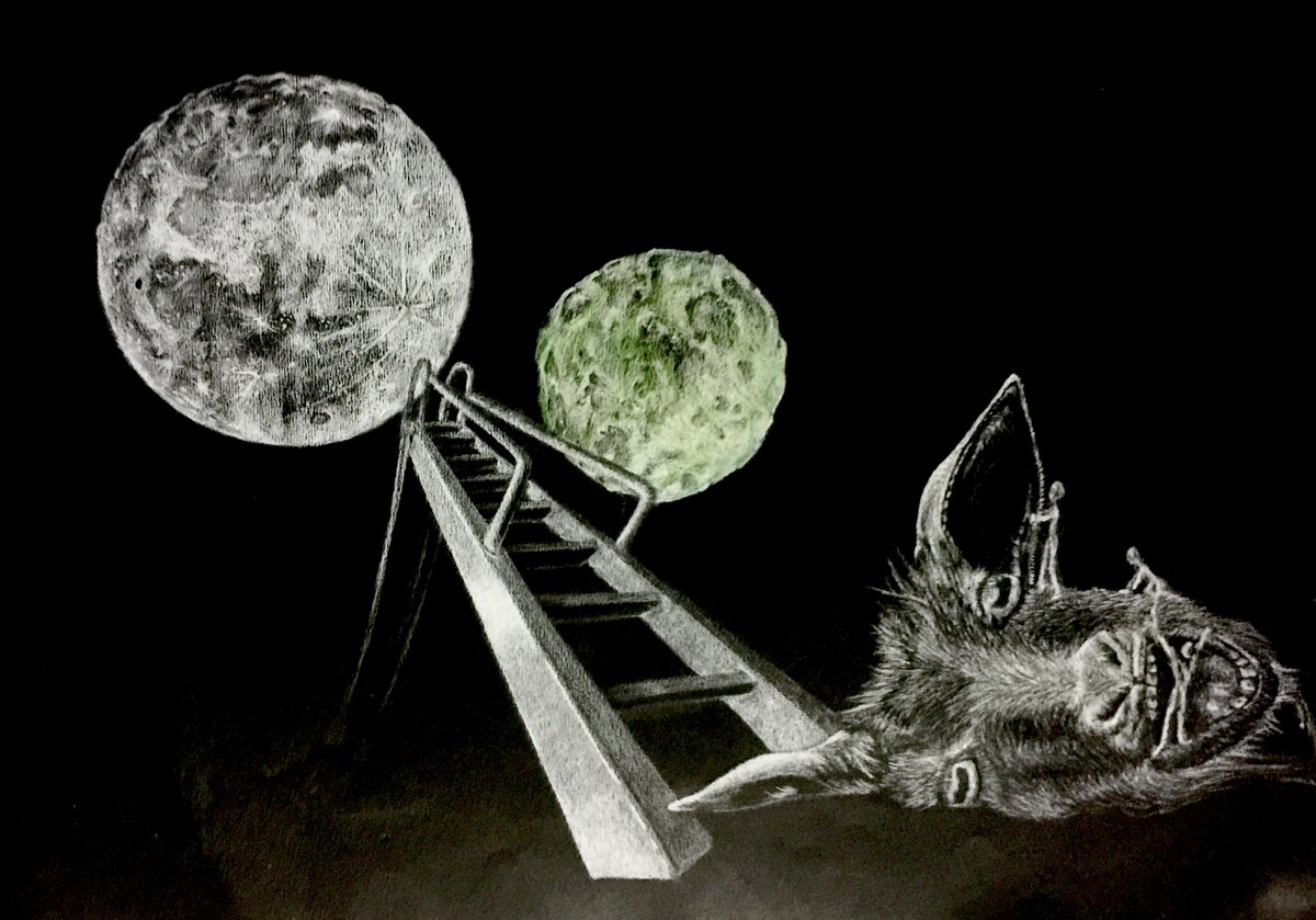 Total BlamBlam tweet media