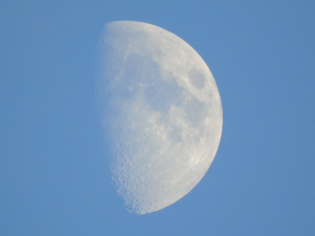 MyGarden_Uk's tweet photo. The Beautiful Moon.
Something to take your mind off everything going on.
#LookShinyThing
#Moon
#TwitterNatureCommunity
#SpendTimeWithNature
#OldPhotos
#ItsGoodForYou #ILoveNature https://t.co/AnalwSNl2b