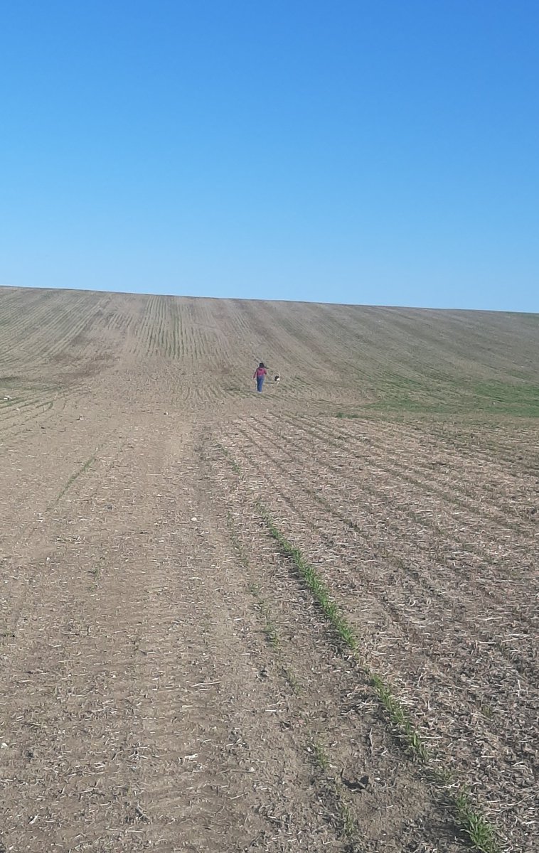 sylvain leroux tweet media