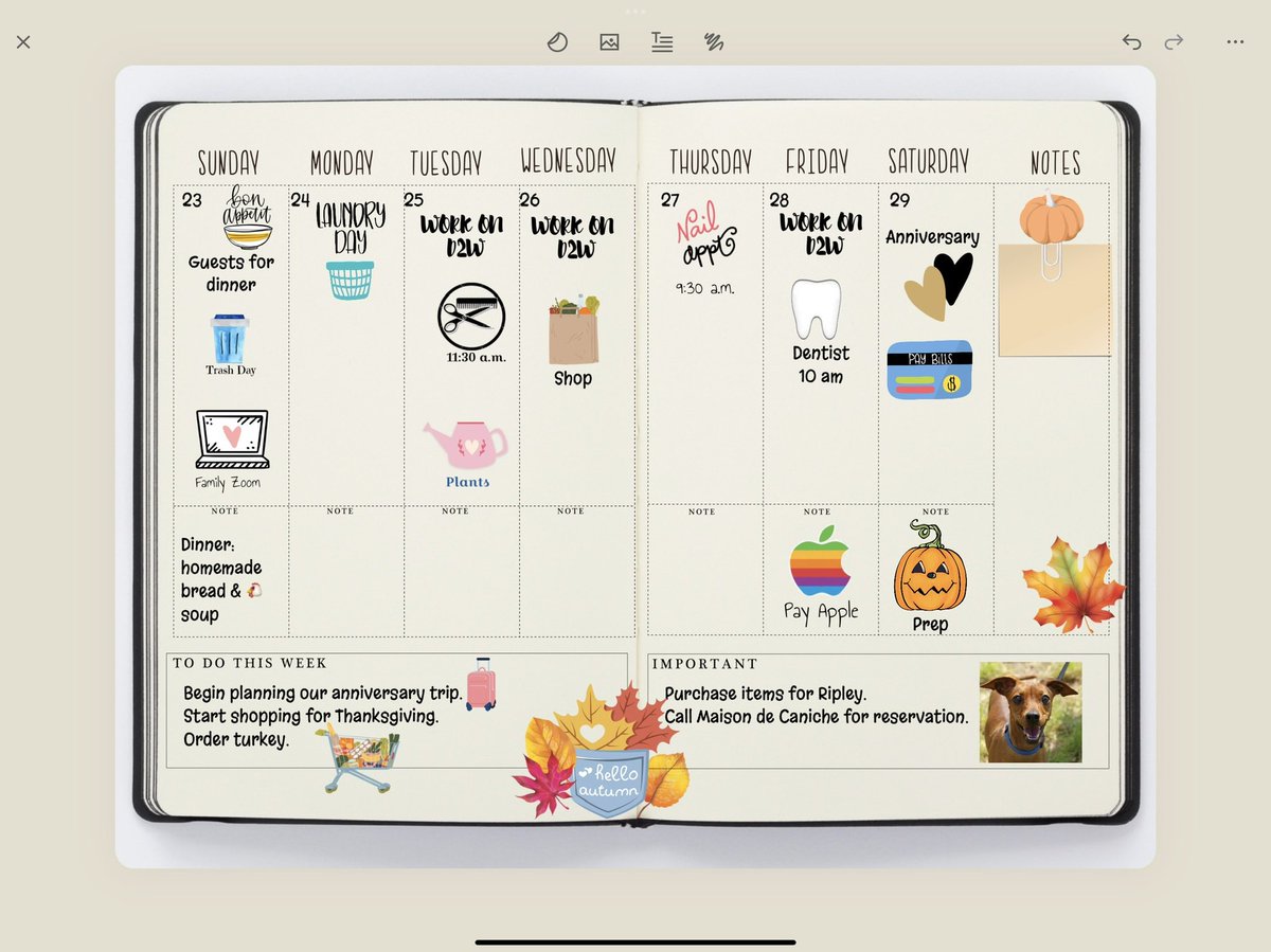 jcwalts's tweet photo. @ZinniaJournal Digital! https://t.co/Fdsa1NBs0v