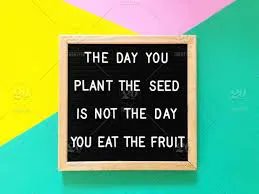 LuandiNorris's tweet photo. #MotivationalQuotes #seeds #fruit #inspired https://t.co/UW1YVDPXZE