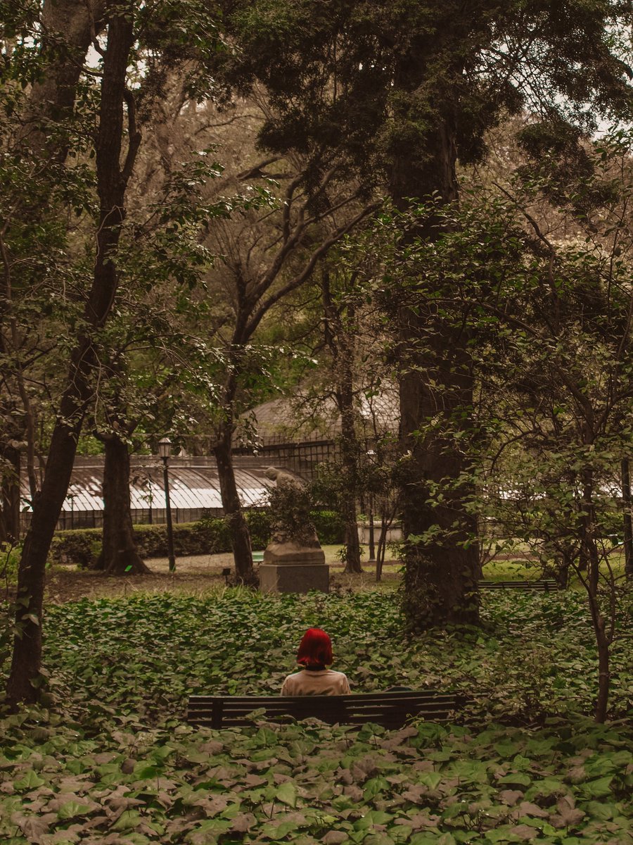 Parabelllum__'s tweet photo. Le saque estas fotos a una piba en el botánico hoy. Una lástima que no tengo idea de quién es ni como hacérselas llegar. https://t.co/faoPCo1SGq