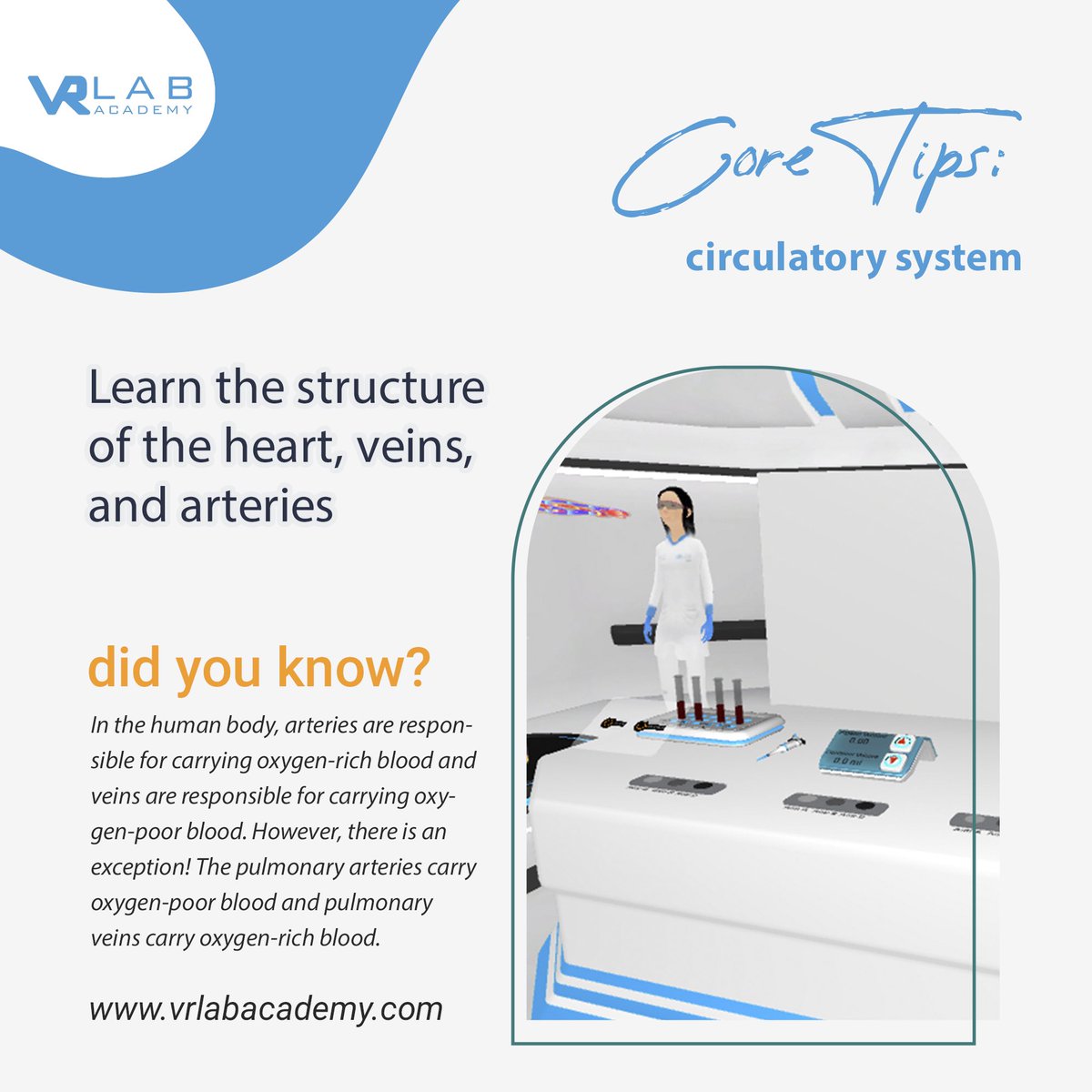 VRLab Academy tweet media