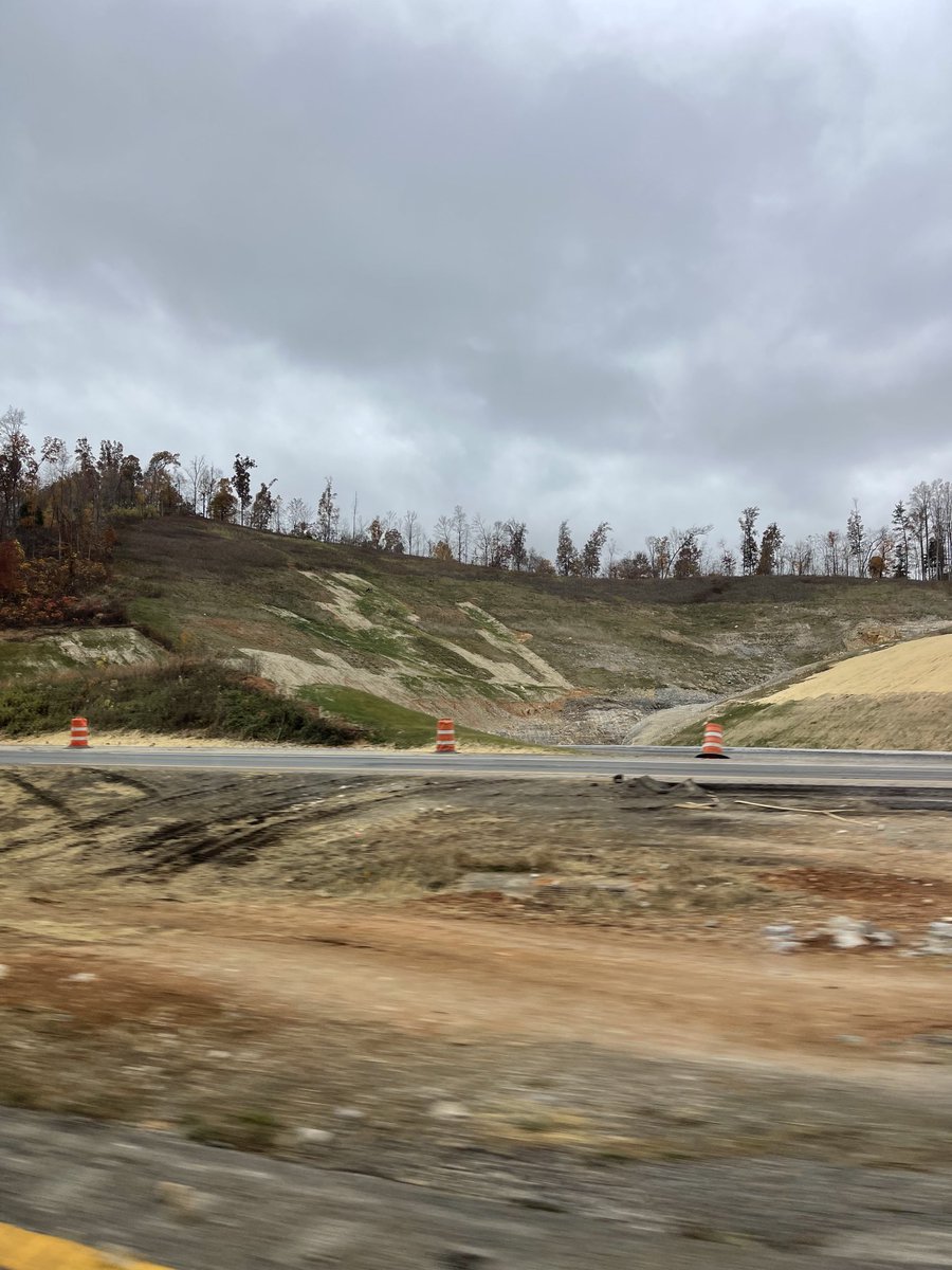 HopCop56's tweet image. Elks are back. Bad pic but I saw two.