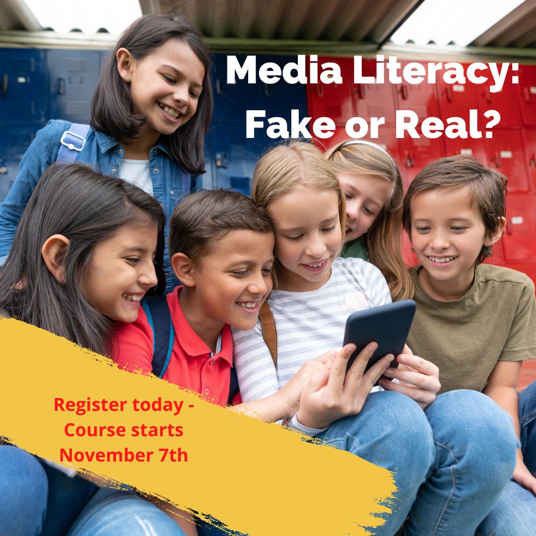 Northwestern Lower MiSTEM Network tweet media