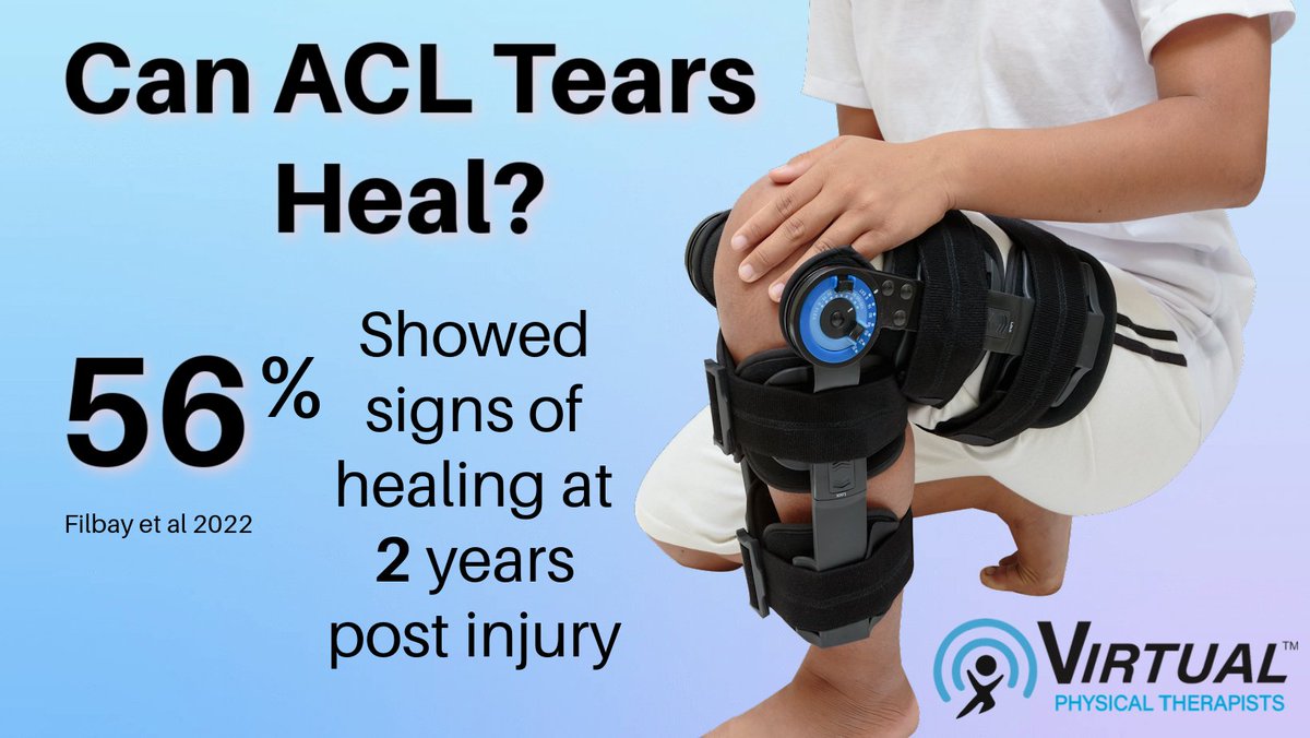 VirtPhys's tweet photo. Self-Healing Potential of the ACL💫 - https://t.co/OLNRHaklQO https://t.co/RzmCoAHFQd