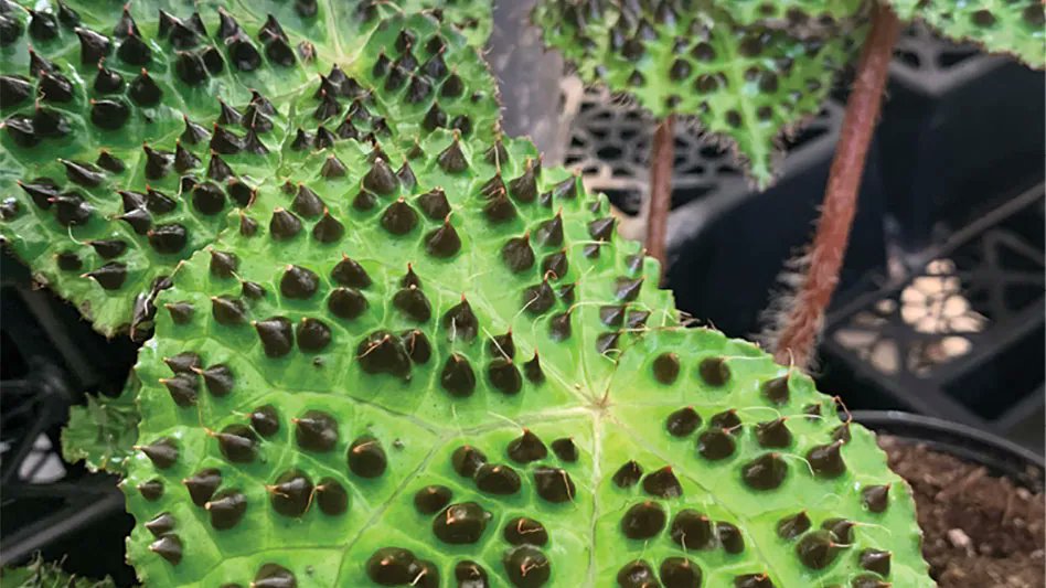 ICYMI: From 2023 predictions to funky foliage varieties, revisit our October issue for any of our stories you may have missed 
bit.ly/3DaTfUA