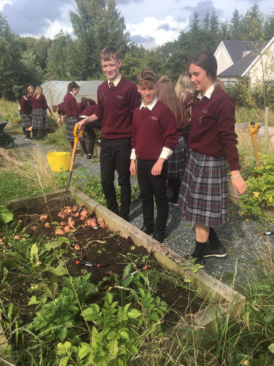 COiriall's tweet photo. 2/2 #inbhuanaitheacht #sustainability #gaisceglas #GreenFingers https://t.co/orX9IG4V9T