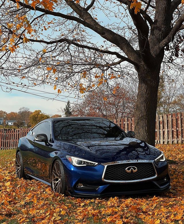 INFINITI Stuart tweet media