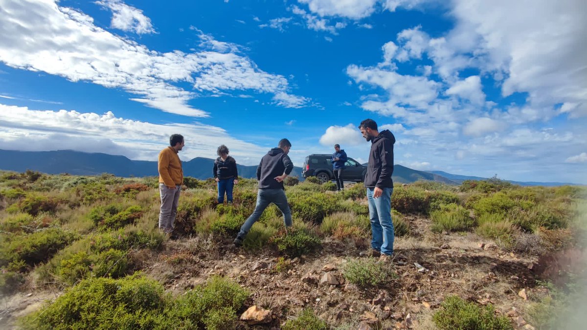 Gonzalo_Palomo's tweet photo. Reunión del proyecto #LandscapeFire @LIFEprogramme en #Tondela #ViseuDaoLafoes para cerrar últimas acciones y revisar estado de los pilotos #quemasprescritas y #pastoreopreventivo #IIFF @infouex @Junta_Ex @sierrasanpedro https://t.co/gAOqP0KUEn