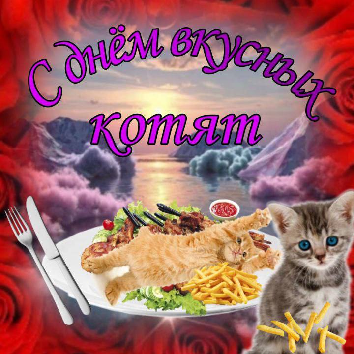 _Just_man_'s tweet photo. Мяу https://t.co/AHMCCzDf5O