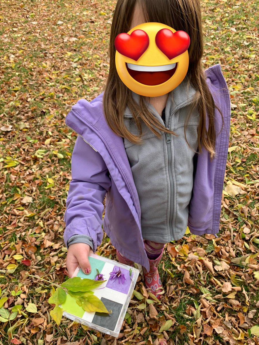 Ms. Stewart tweet media