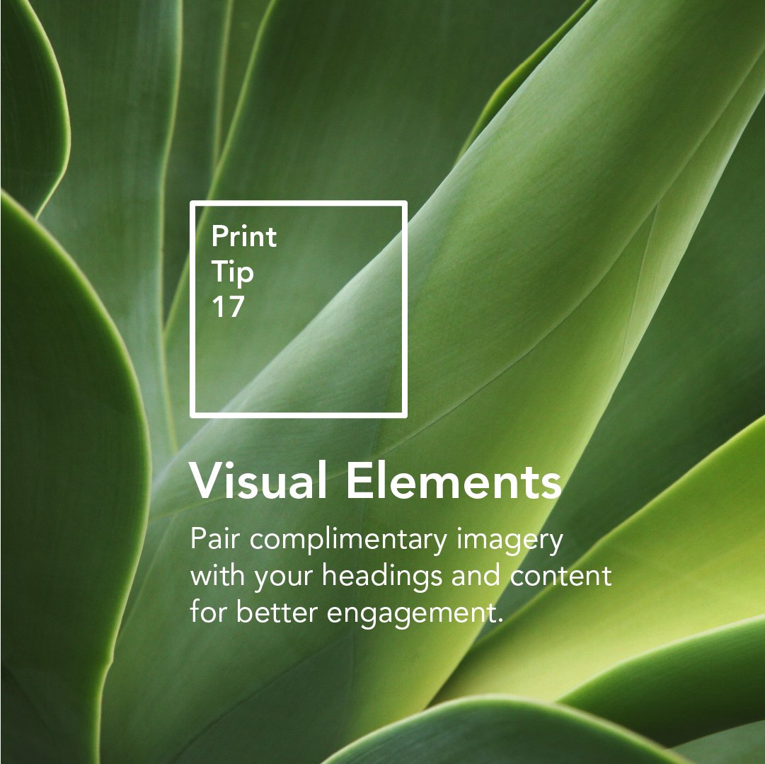 KineticaPrint's tweet photo. Visual Elements are the third major component for a print piece. It needs to attract attention, and work in tandem with your headline and body copy. No pressure! 

#print #advertising #marketing #printcopy #copywriting #graphicdesign #graphicdesigntips #marketingtips #printtip https://t.co/iJjNF9EE46