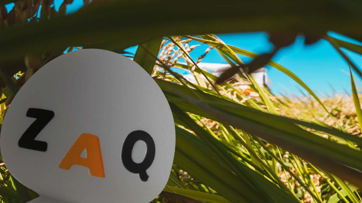 ざっくぅ 公式 Zaq Official Twitter ざっくぅ 公式 Zaq Official Twitter