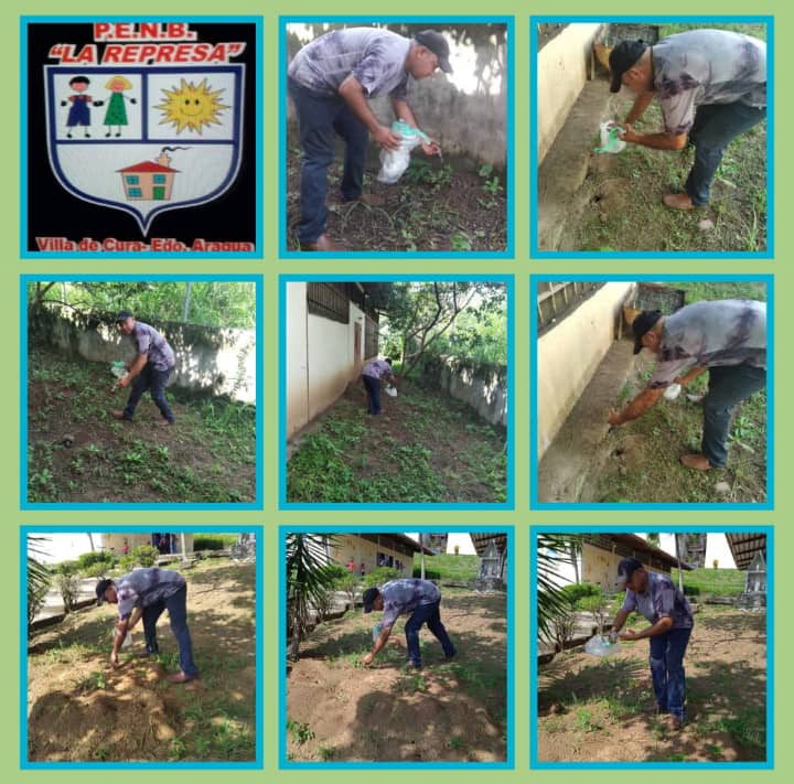 #26Octubre MUNICIPIO BOLIVARIANO EZEQUIEL ZAMORA CORREA 🌟 INSTITUCIONES EDUCATIVAS CELEBRANDO CON AMOR💚 Y ALERGIA 😃 SEMANA DE LA SEMILLA CAMPESINA 🌱☘️🌲🌴🌵🌱🌱🌱Sembrando para el futuro @MPPEDUCACION @ZE_Aragua <a href="/Soykarinacarpio/">Karina Carpio</a> <a href="/leoalvacabrera/">Prof. Leonardo Alvarado</a> <a href="/cheanahis/">Anahis Palacios</a> <a href="/PTMSZAMORA1/">Coord. PTMS Municipio Zamora</a>