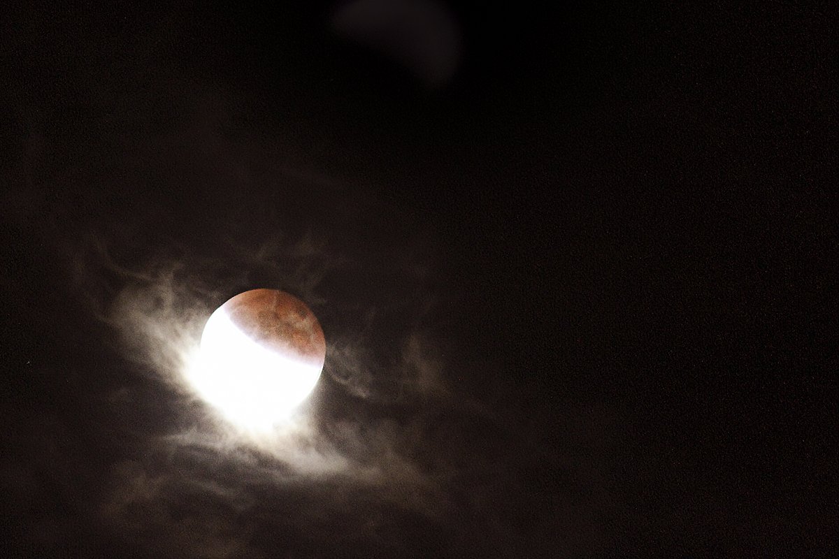 Total BlamBlam tweet media