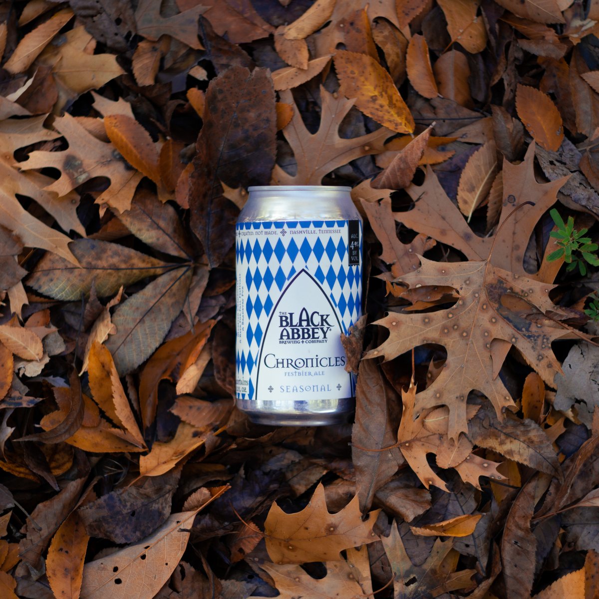 BlackAbbeyBrew's tweet photo. A lovely companion on this perfectly Fall day! Grab yourself a 6 pack and enjoy your #Wednesday!
#beer #bier #brewery #brew #craftbeer #craftbrewery #local #drinklocal #festbier #oktoberfest #marzen #blackabbeybrewing #fall #autumn #chilly #welovefall https://t.co/NbDS8pk9qn