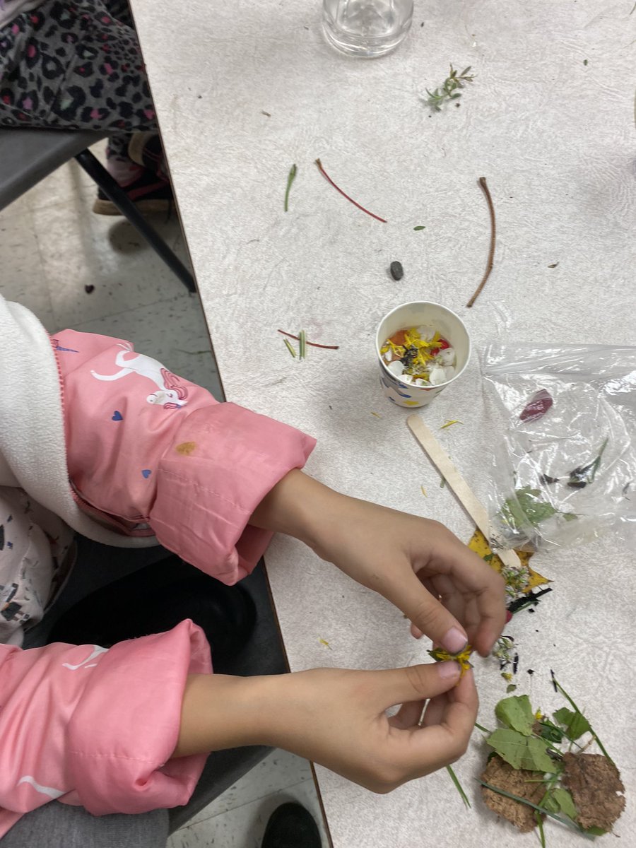 Katie Mott tweet media