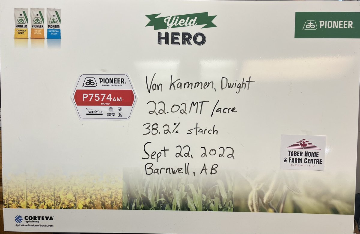 Lloyd VanEedenPeters (@ldvep) on Twitter photo This irrigated Pioneer P7574AM from near Barnwell, AB looked sharp all season, yielded well and the results look good.<a href="/PioneerSeedsCA/">Pioneer Seeds Canada</a> #irrigatedcornsilage #YieldHero22 This irrigated Pioneer P7574AM from near Barnwell, AB looked sharp all season, yielded well and the results look good.<a href="/PioneerSeedsCA/">Pioneer Seeds Canada</a> #irrigatedcornsilage #YieldHero22