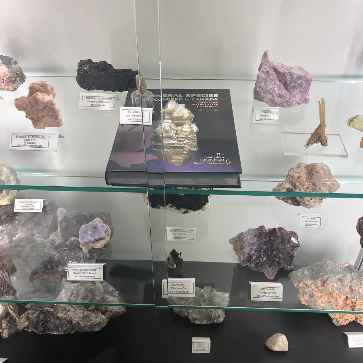 Belle découverte aujourd’hui pavillon Découverte ⁦⁦<a href="/ParcSafari/">Parc Safari</a>⁩ #science #sciencepourtous #vulgariserlascience #sciencesimplement ⁦<a href="/NRCan/">Natural Resources</a>⁩ ⁦@GSC_CGC⁩ ⁦<a href="/GenevievMarquis/">Genevieve Marquis</a>⁩ ⁦⁦<a href="/AASappin/">Sappin Anne-Aurelie</a>⁩