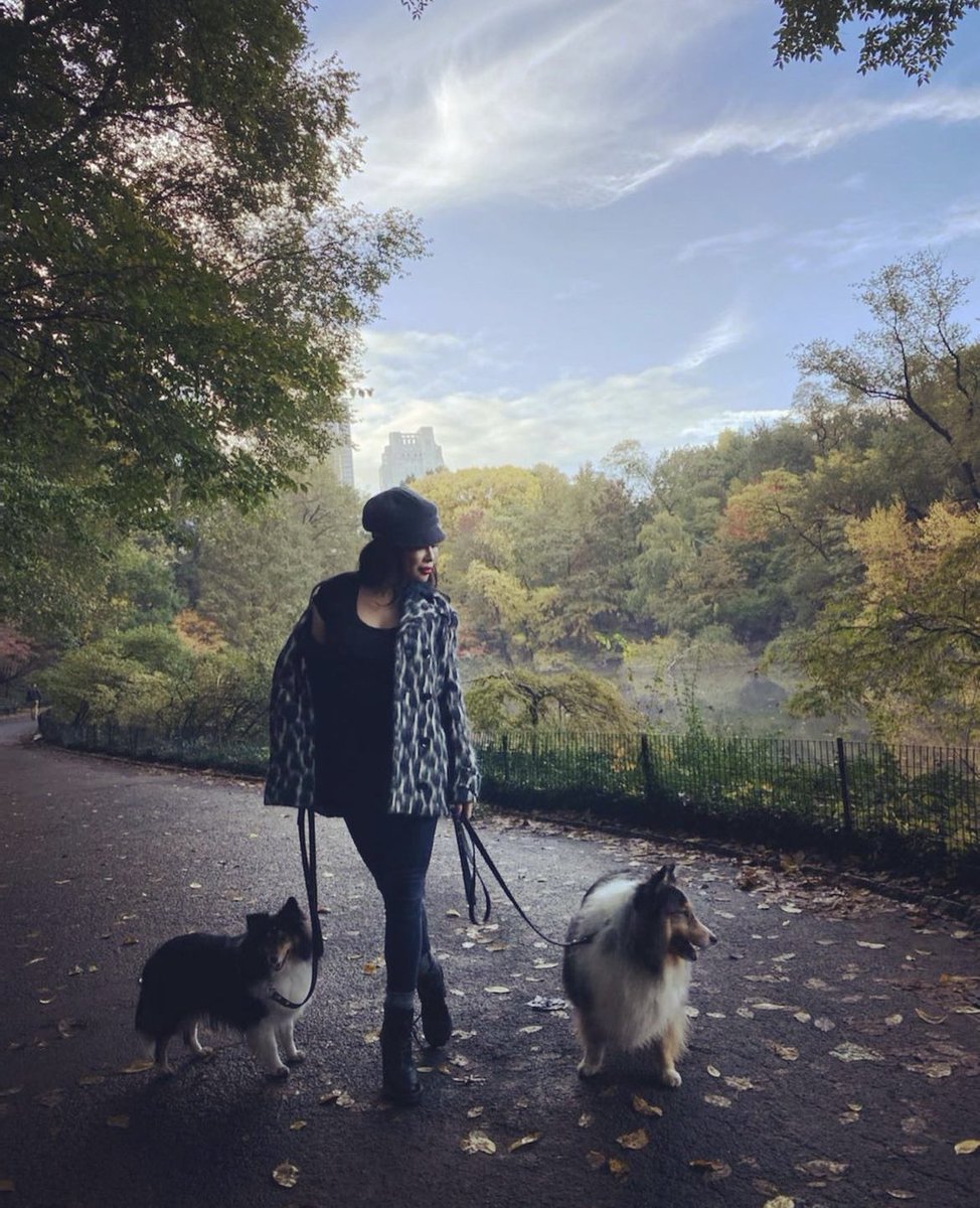 Oh how I love autumn in New York. 🍃🍂🍁 🧡

📷: <a href="/jesscamacho/">jess 🍒</a> #NewYork