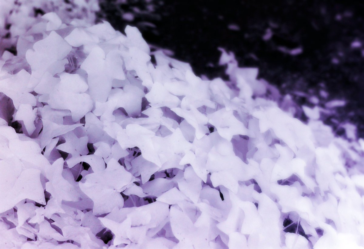 Total BlamBlam tweet media