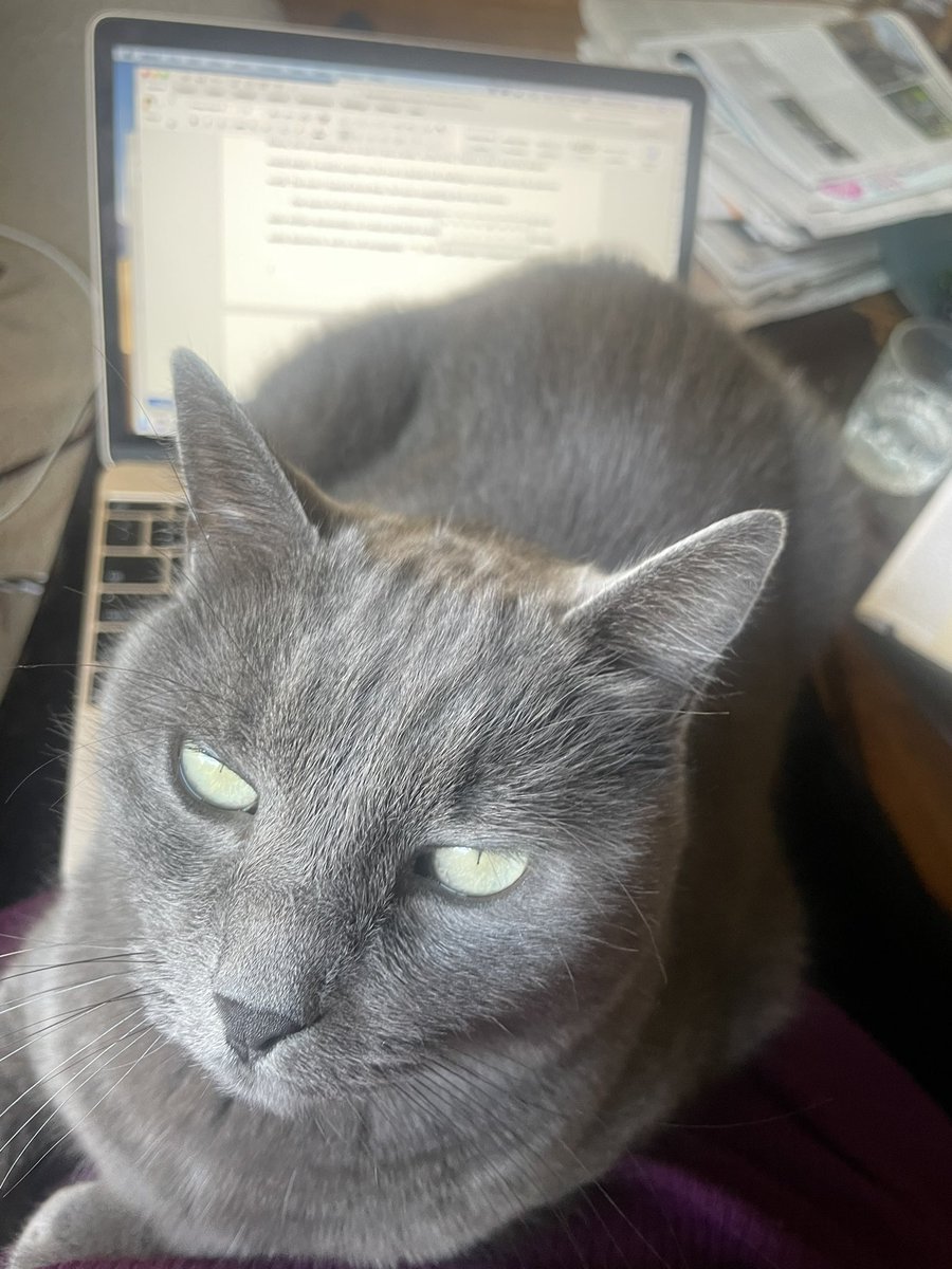 My editorial assistant strikes again.