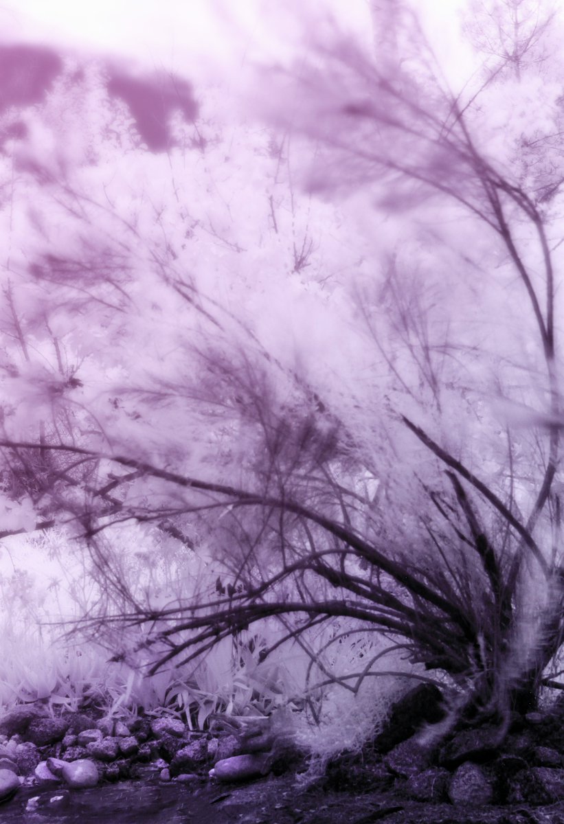 Total BlamBlam tweet media