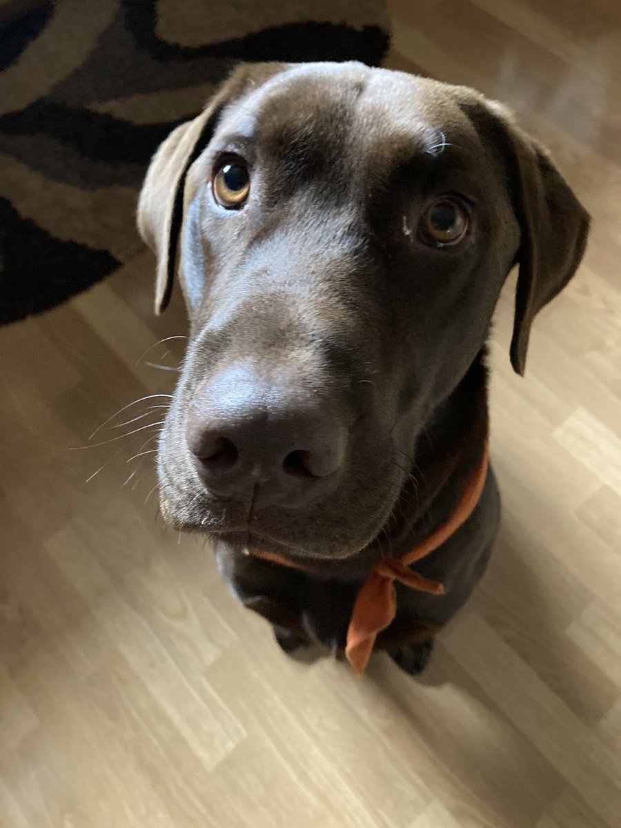 Jamie Thompson (she/her/elle) tweet media