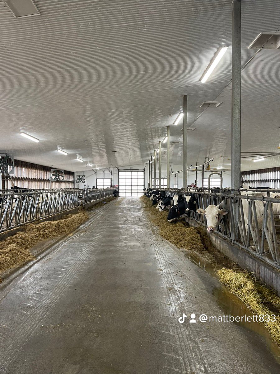 Beyond happy with how this turned out great work <a href="/faceliftclean/">Facelift Exterior Cleaning Specialists</a> #looksnew