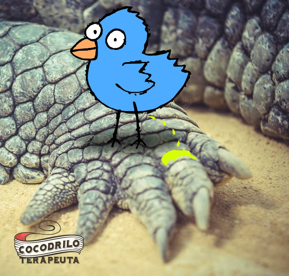 doc_cocodrilo's tweet photo. El #famoso pájaro mea garras https://t.co/rHh07HsggQ