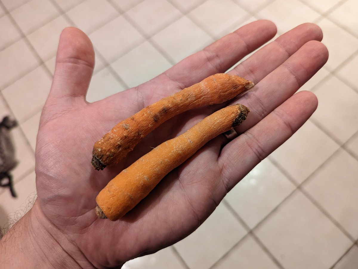 GearhartProps's tweet photo. @HelloFresh @HelloFresh and my question is.... Where is the rest of it??? https://t.co/wwuG75eniR