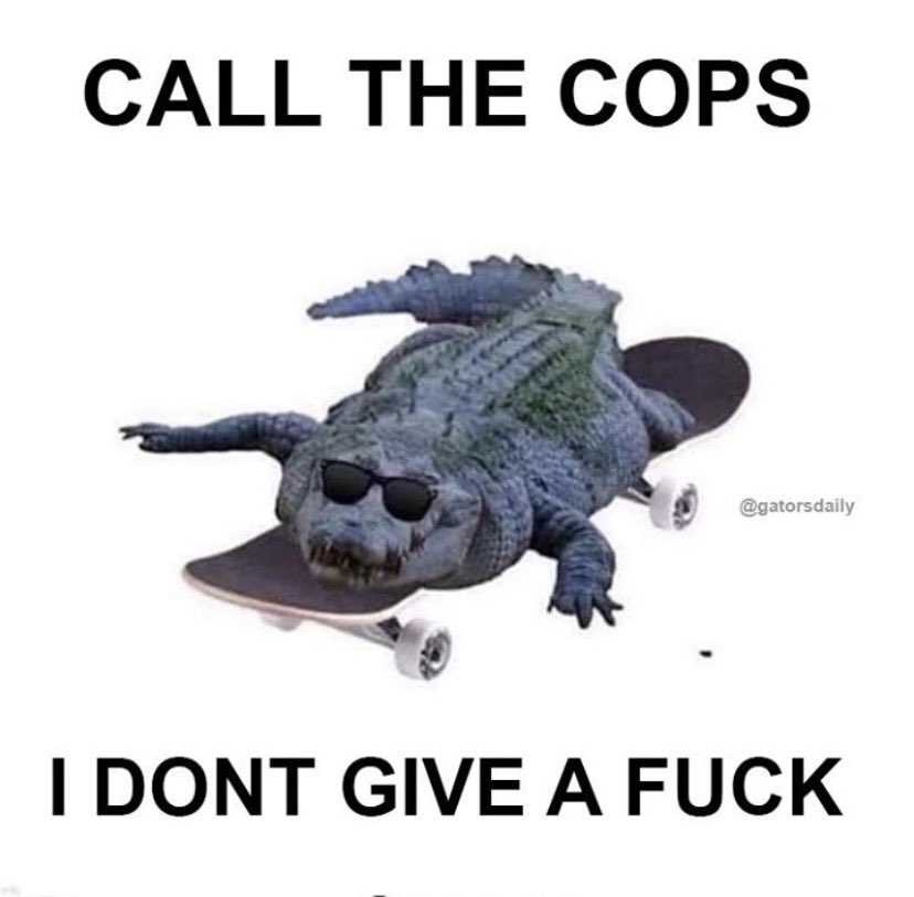 GatorsDaily's tweet image. 