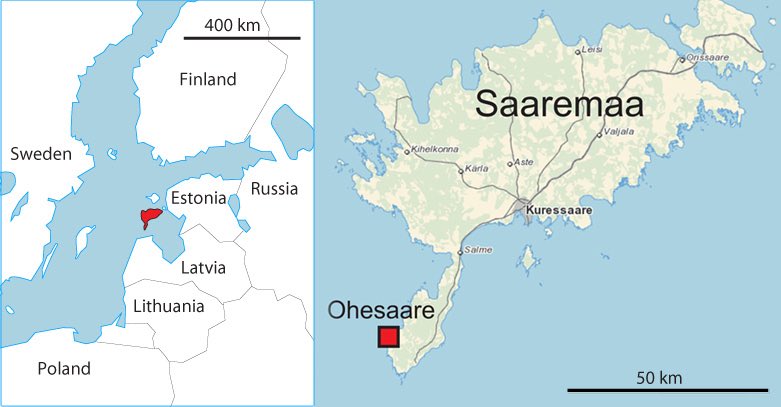 OSINTdefender on Twitter: "Saaremaa Island is an Island off the Western