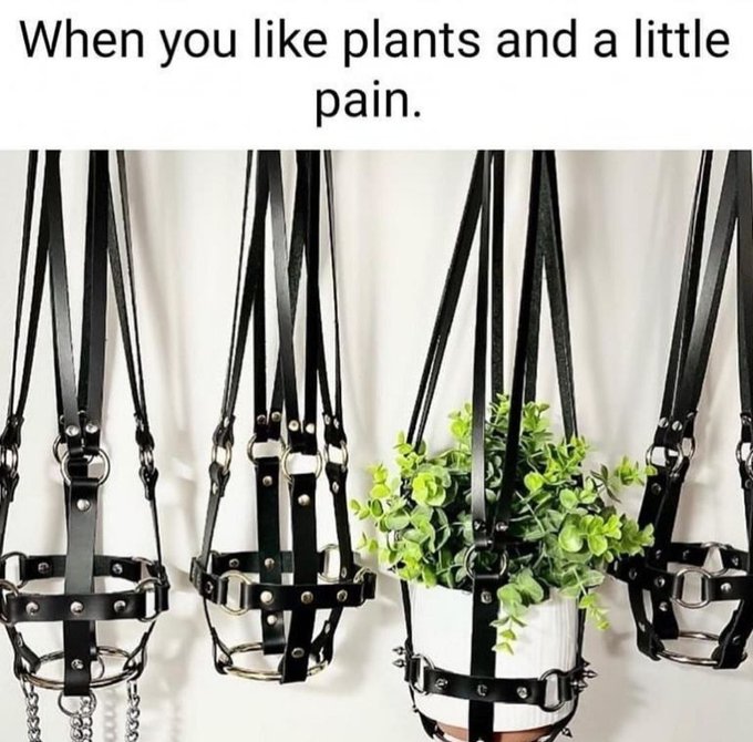 Literally Me. https://t.co/t9waVI54mm<a href="/tag/humiliatrix"class="tags"><span>#humiliatrix</span></a><a href="/tag/humiliation"class="tags"><span>#humiliation</span></a><a href="/tag/sph"class="tags"><span>#sph</span></a><a href="/tag/bdsmmemes"class="tags"><span>#bdsmmemes</span></a>