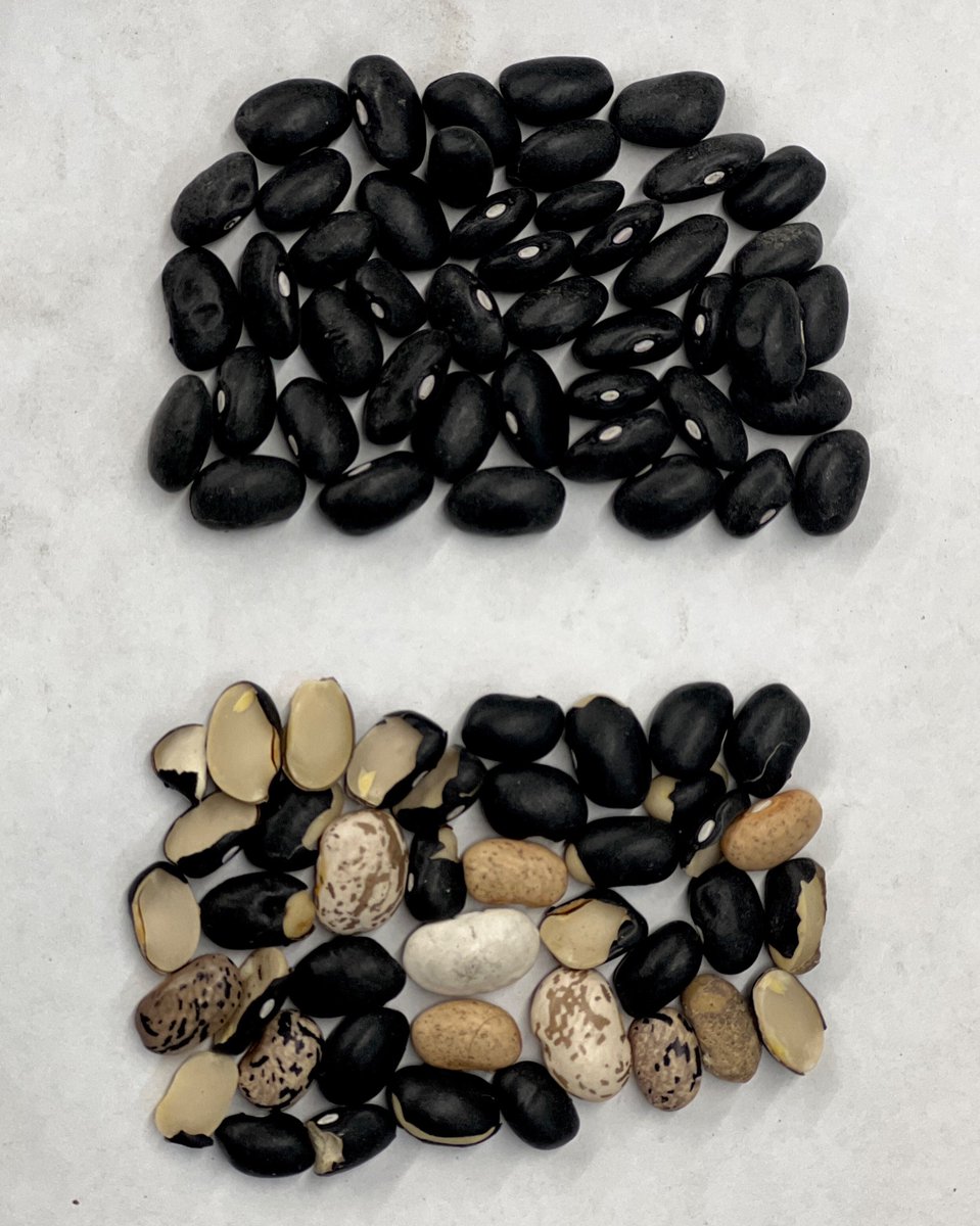 Mark Keating tweet media