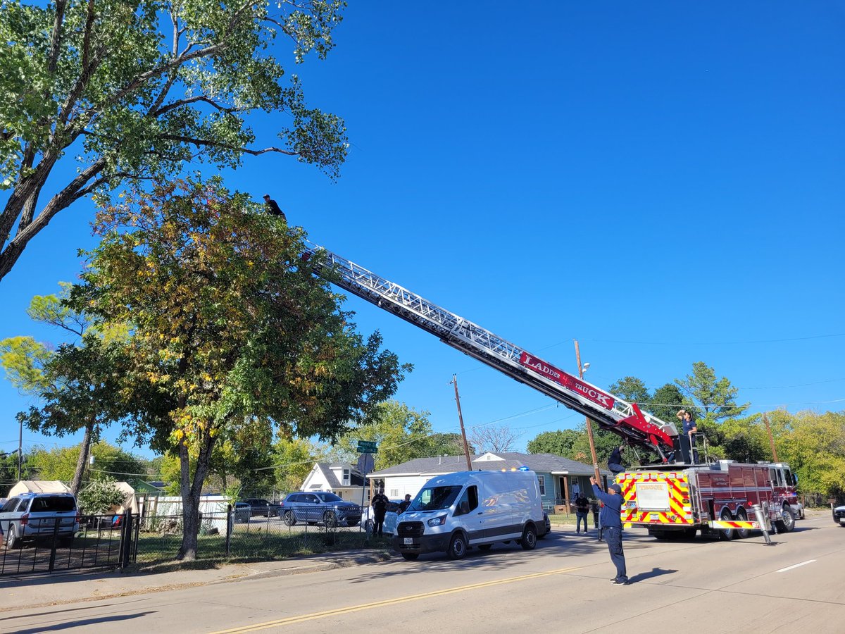 DPD FUGITIVE UNIT (@dpdfugitive) on Twitter photo Normally it's just a cat, but this time they had to rescue one of our drones from a tree. Appreciate the help <a href="/DallasFireRes_q/">DALLAS FIRE-RESCUE</a> Normally it's just a cat, but this time they had to rescue one of our drones from a tree. Appreciate the help <a href="/DallasFireRes_q/">DALLAS FIRE-RESCUE</a>