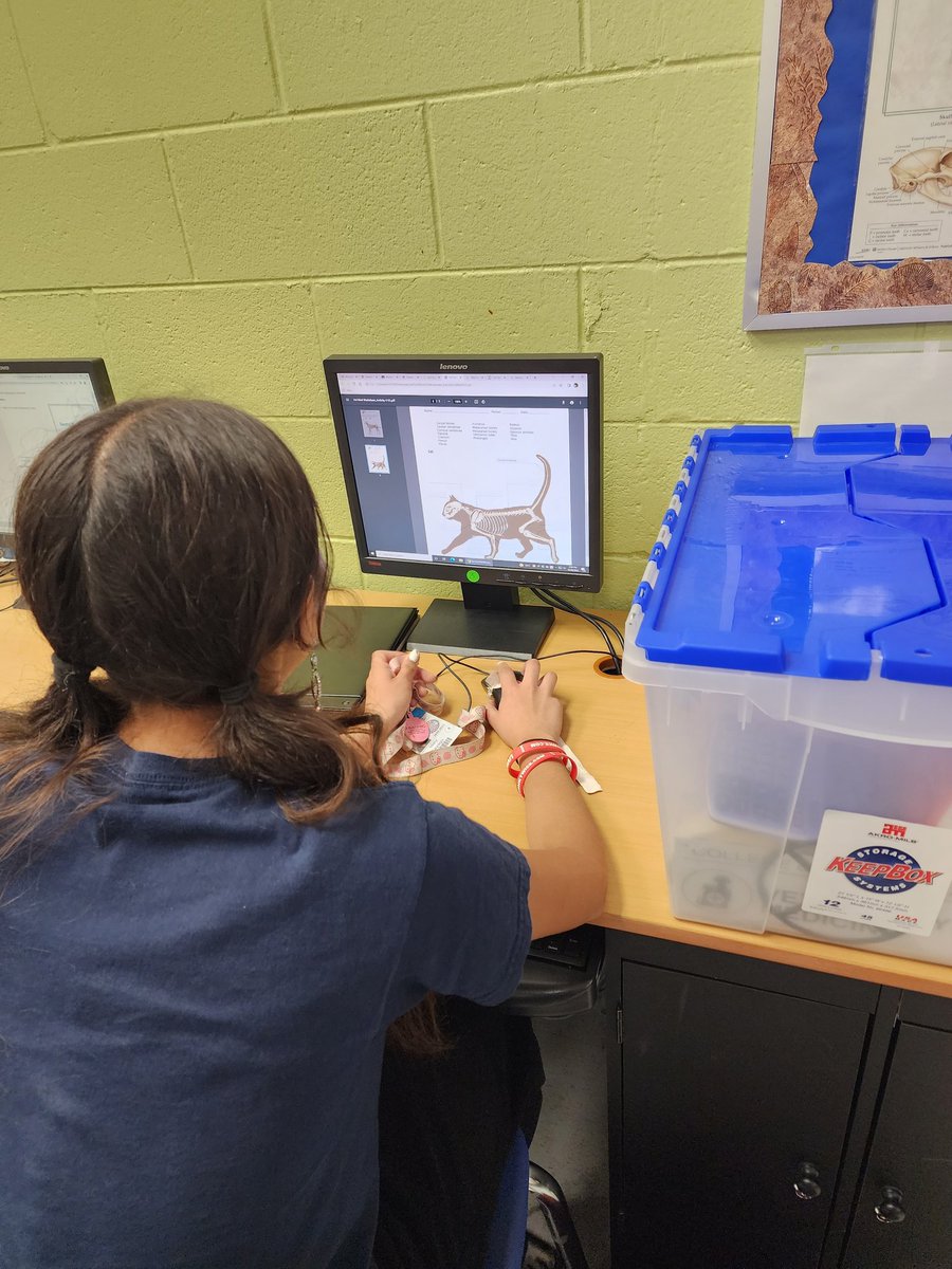 Roskosky90's tweet image. CMSSA students back at their @PaxPatLearning modules after a short break from them due to intercession and HS Registrations.  @Barbpete2 @CanutilloCTE @EagleJudge91 @PedroGalaviz9 @CanutilloMs #CollegeCareerReadiness #CampusOfChaMpionS #LearningAtItsBest