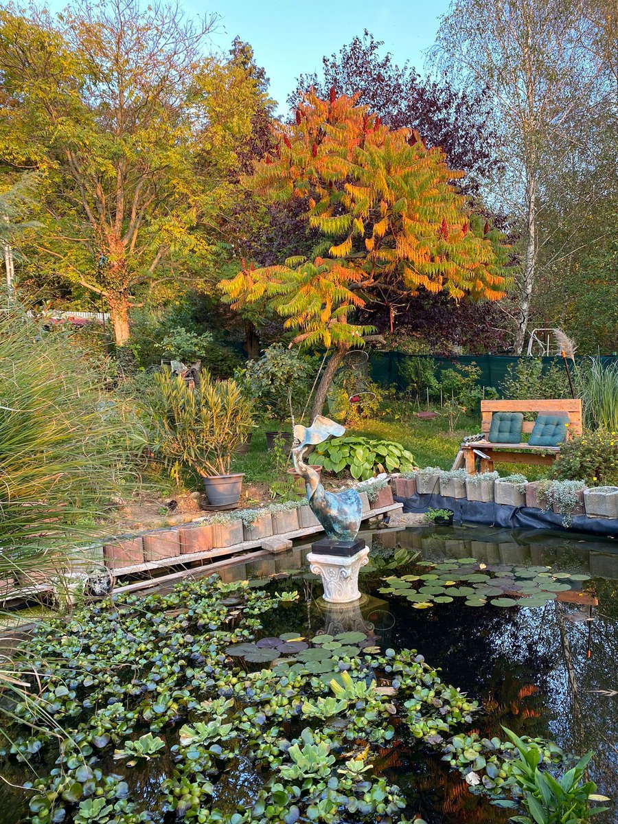 #szárliget automne 2022❤️