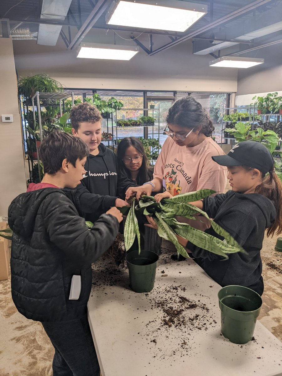 msjaceyjones's tweet photo. Huge thank you to Emily from Foli for hosting the @TecumsehHDSB Eco-Team at her local business. Such an easy spot to visit using @BurlONTransit. We took advantage of their 'Kids Ride Free' policy! We can't wait to green our school with our gorgeous new plants! @cityburlington https://t.co/GOjgYkgOB6