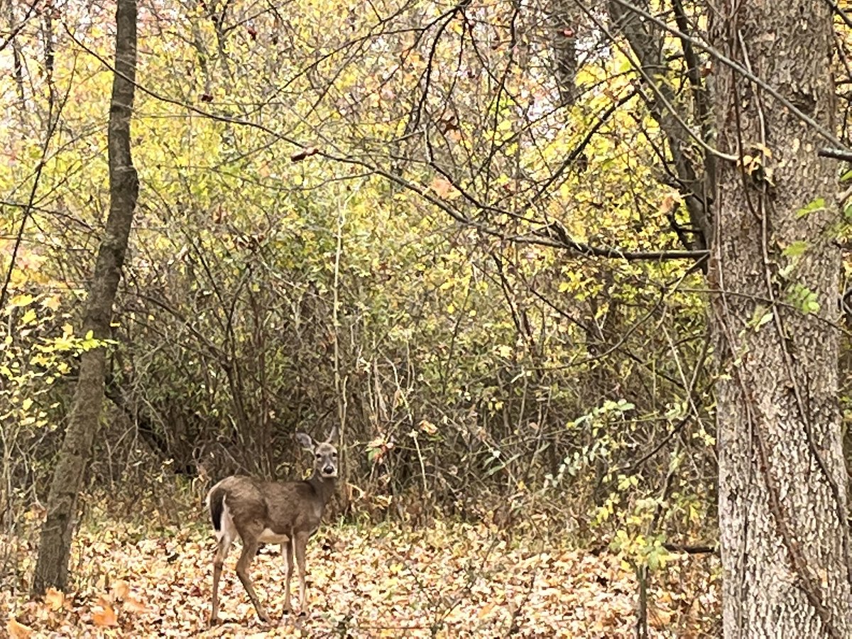 Expanding a great partnership, and exploring the great outdoors at the same time; win-win.
<a href="/CCSSpruceRun/">Spruce Run</a> <a href="/CCSCareerTechEd/">Career-Technical Education, Columbus City Schools</a> <a href="/ESCCentralOhio/">ESC of Central Ohio</a> #WhereIsESCToday