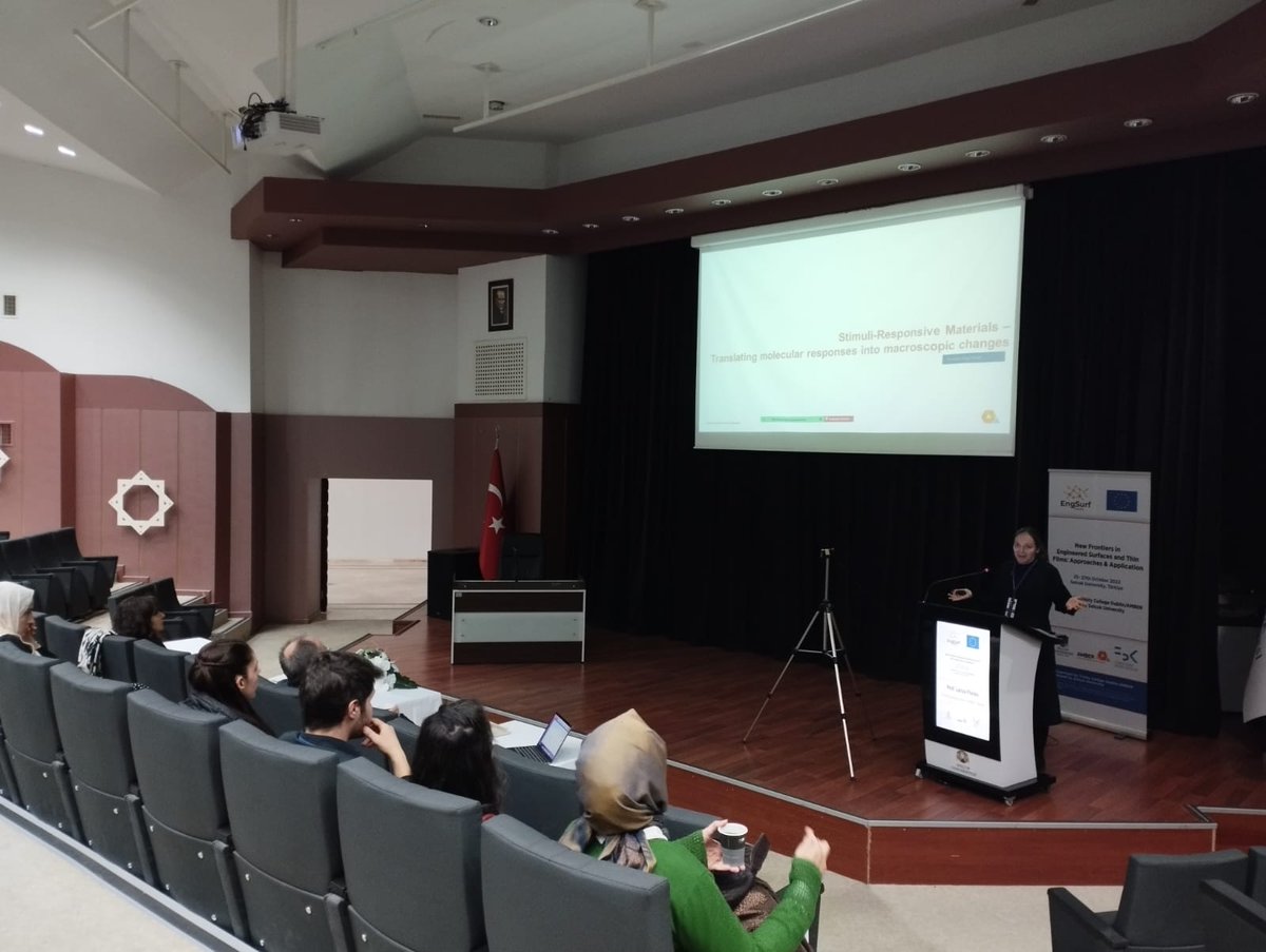 EngSurf-Twin tweet media