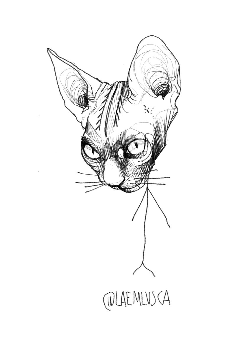 laemlusca's tweet photo. 3 gatos sem tempo https://t.co/rtzscVh27T